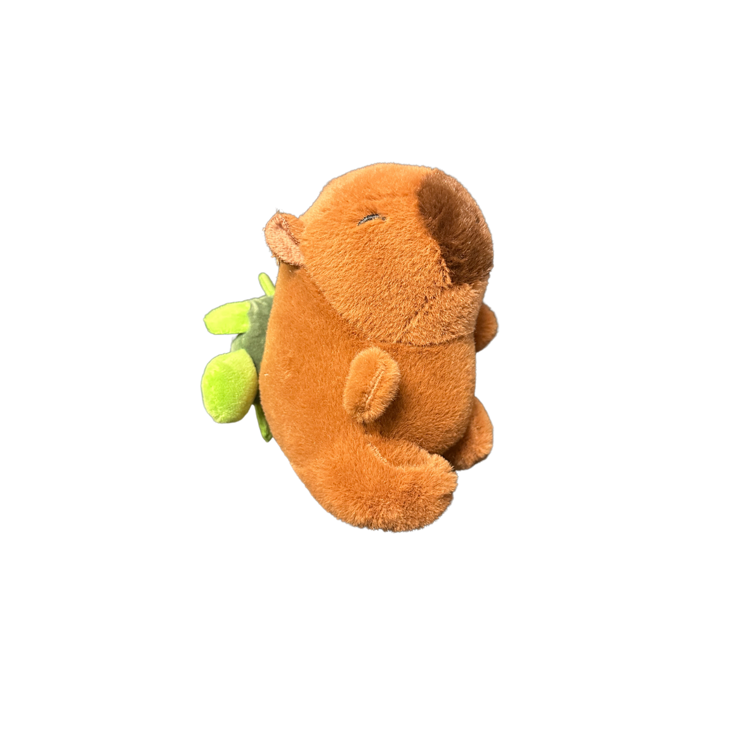Capybara Plush with Spinning Turtle – Pull String Action 12 pc in display MSCB2